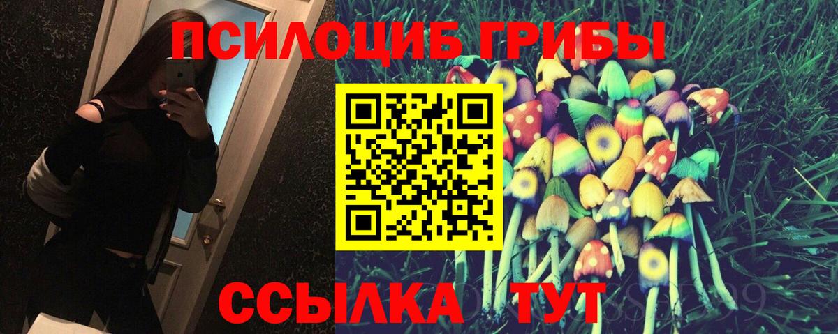 Псилоцибиновые грибы Psilocybine cubensis  Галлюциногенные грибы GOLDEN TEACHER  даркнет сайт  Камышин  Вход с VPN 
